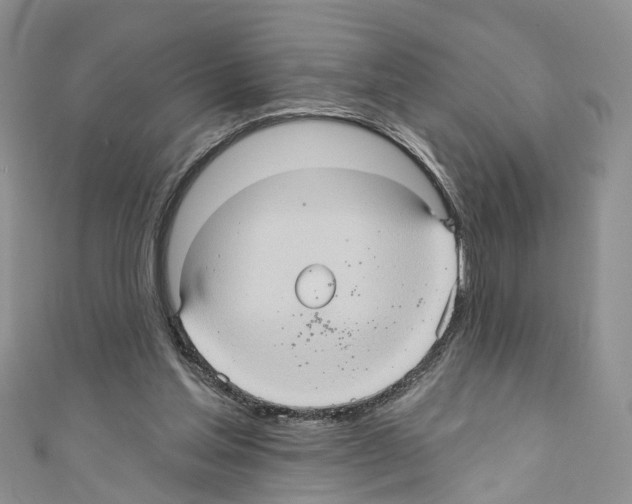 X0000110680205200907241050