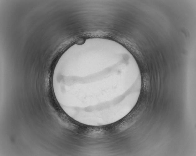 X0000110680206200907241050