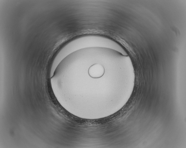 X0000110680207200907241050