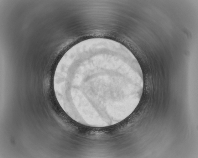 X0000110680208200907241050