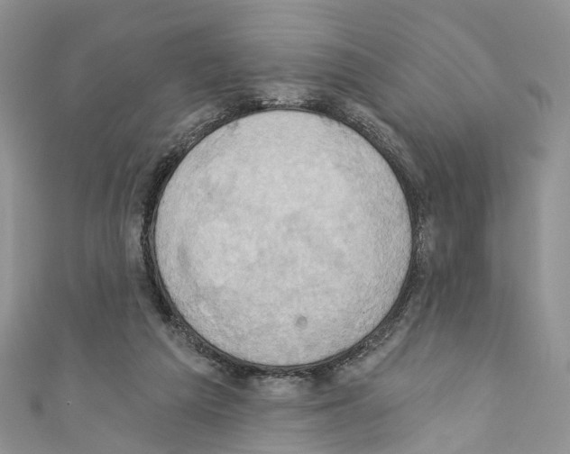 X0000110680209200907241050