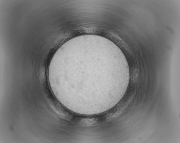 X0000110680213200907241050