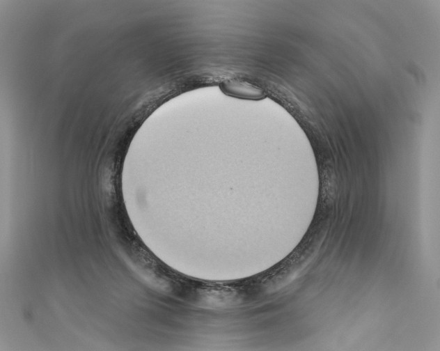 X0000110680215200907241050