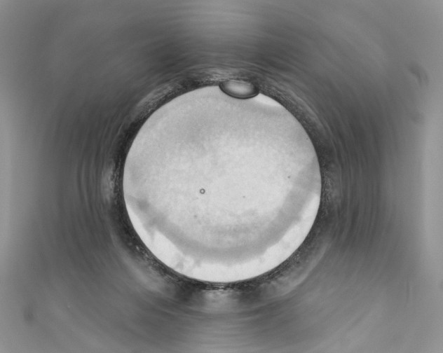 X0000110680216200907241050