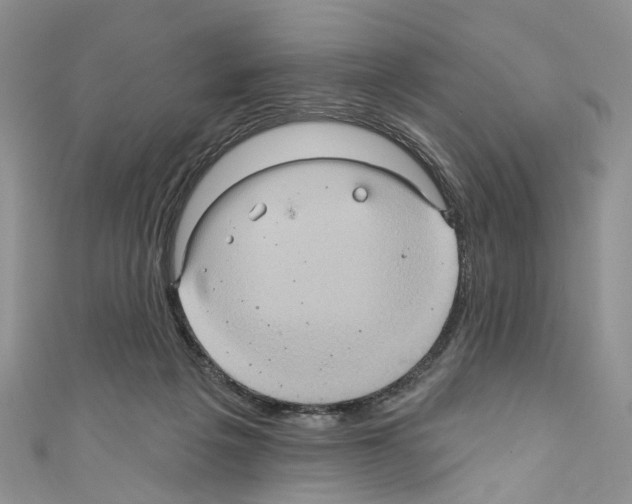 X0000110680217200907241050
