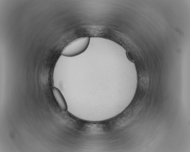 X0000110680221200907241050