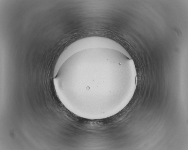 X0000110680223200907241050