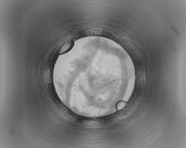 X0000110680224200907241050