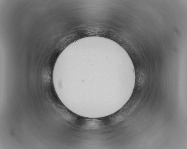 X0000110680226200907241050