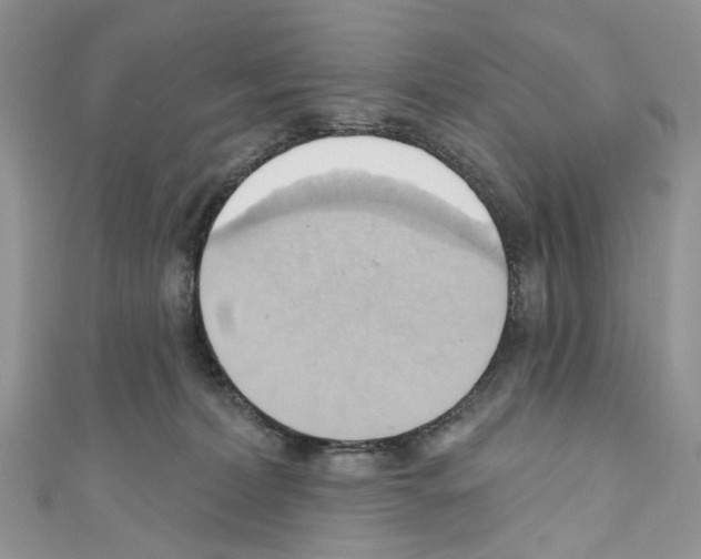 X0000110680228200907241050