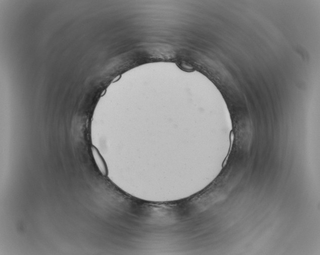 X0000110680229200907241050