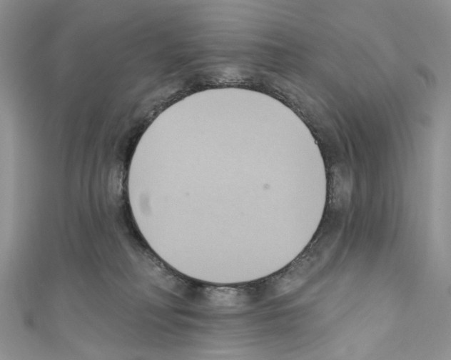 X0000110680230200907241050