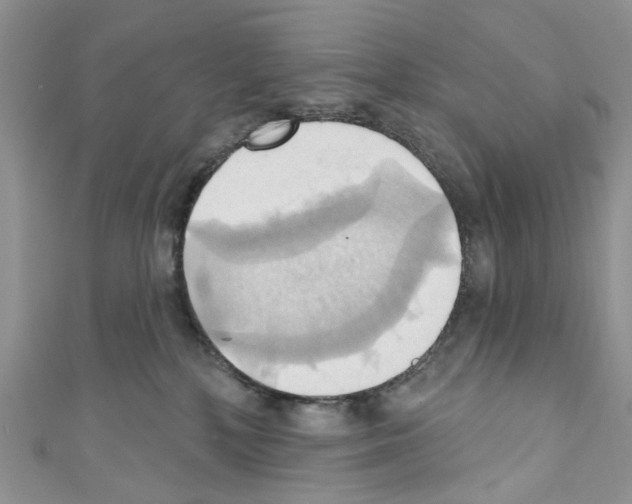 X0000110680232200907241050