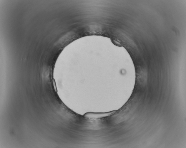 X0000110680233200907241050