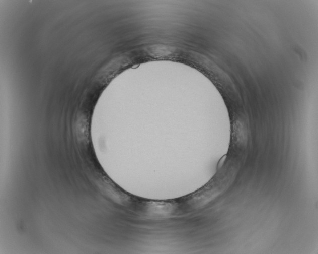 X0000110680234200907241050