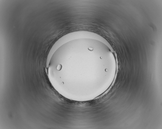 X0000110680235200907241050
