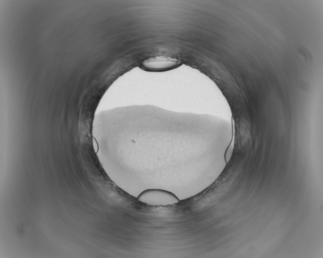 X0000110680236200907241050