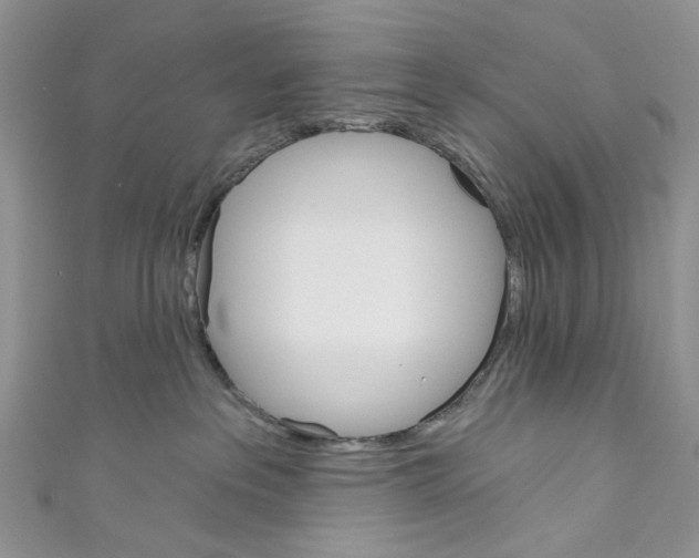 X0000110680237200907241050