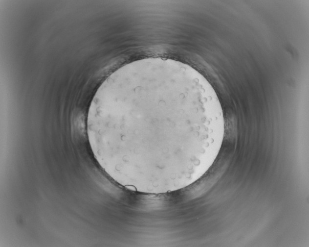 X0000110680238200907241050