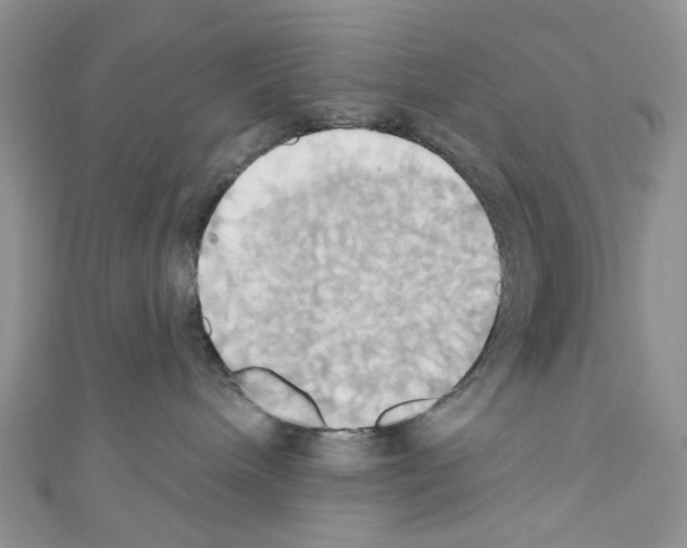 X0000110680240200907241049