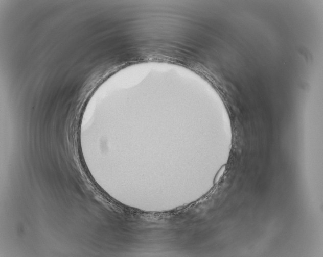 X0000110680241200907241049