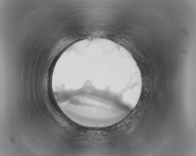 X0000110680242200907241049