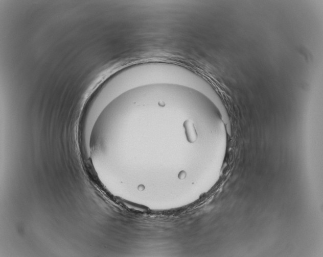 X0000110680244200907241049