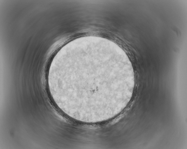 X0000110680245200907241049