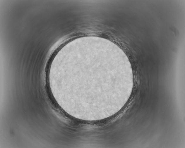 X0000110680246200907241049