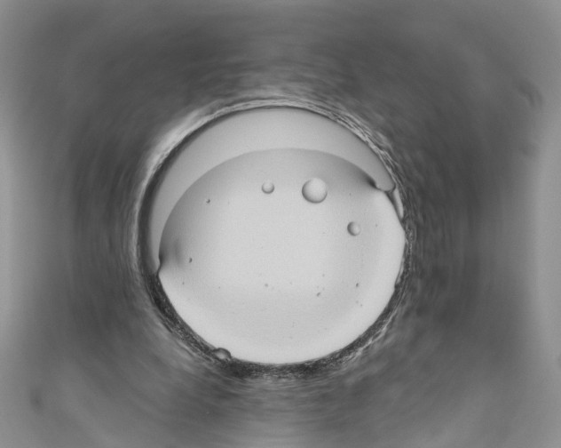 X0000110680248200907241049