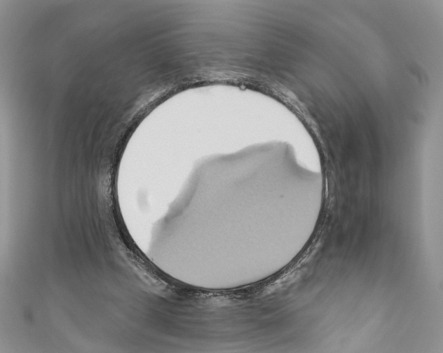 X0000110680249200907241049