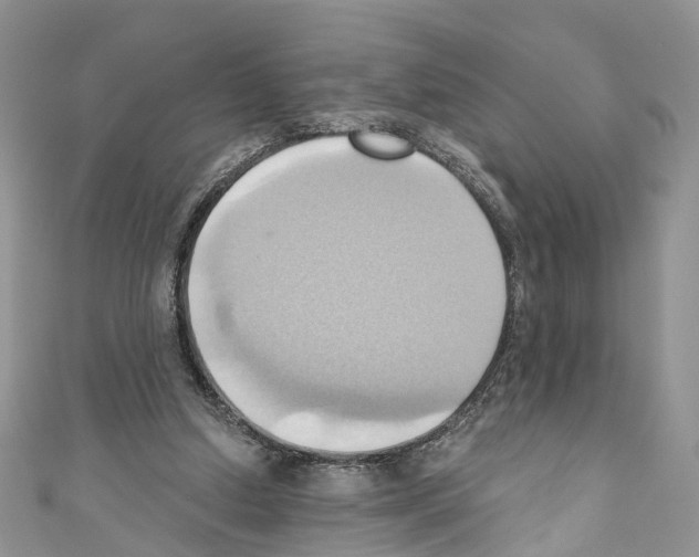 X0000110680250200907241049