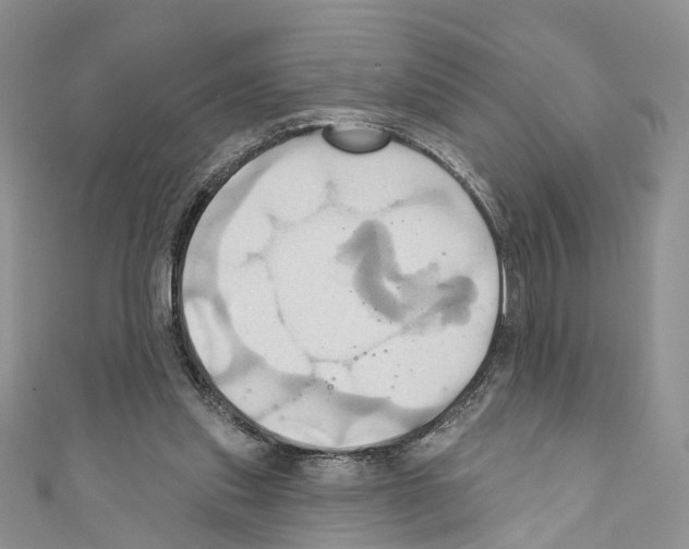 X0000110680253200907241049