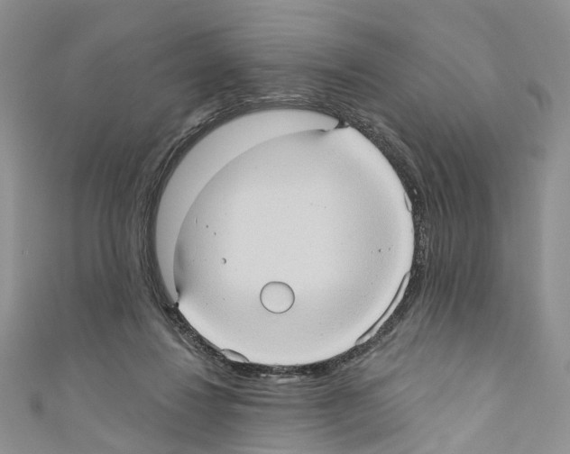 X0000110680260200907241049