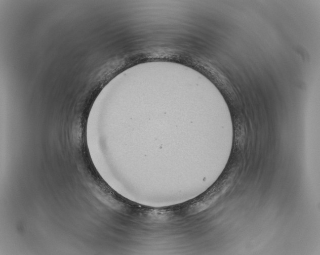 X0000110680261200907241049