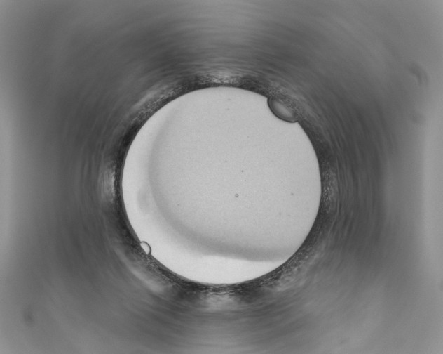 X0000110680262200907241049