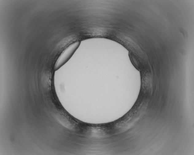 X0000110680264200907241049