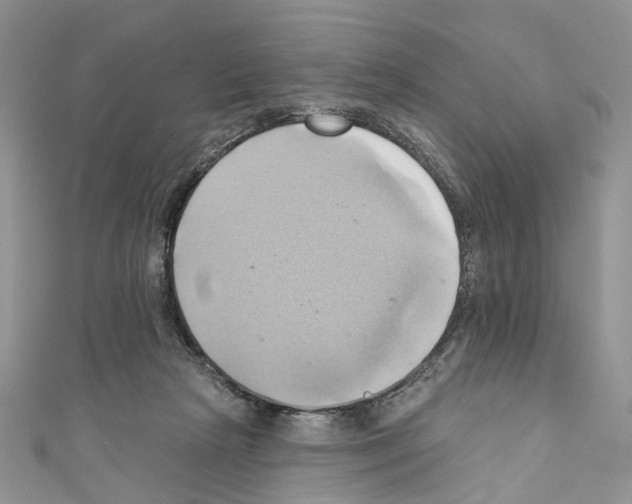 X0000110680265200907241049