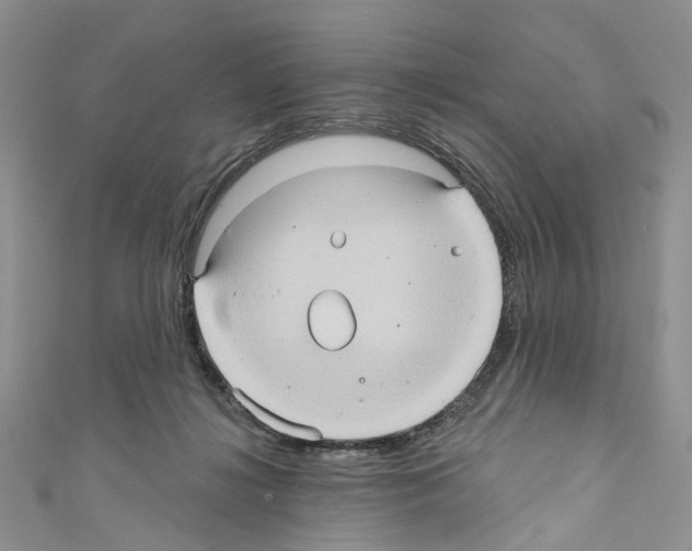 X0000110680268200907241049