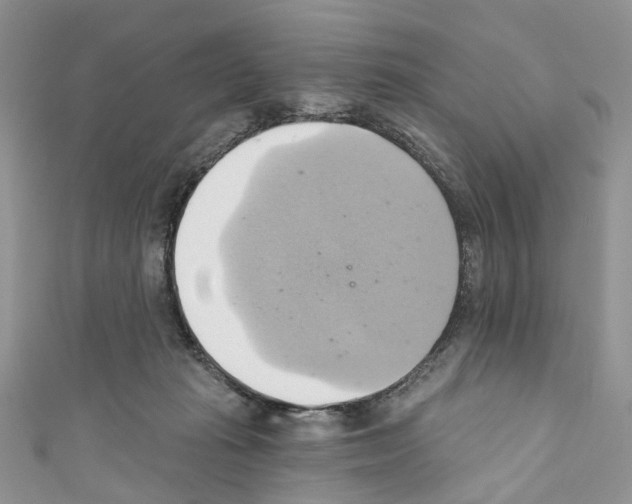 X0000110680269200907241049