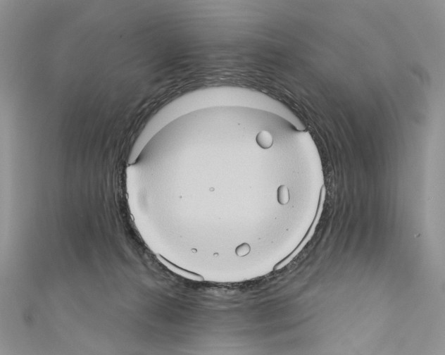 X0000110680272200907241049