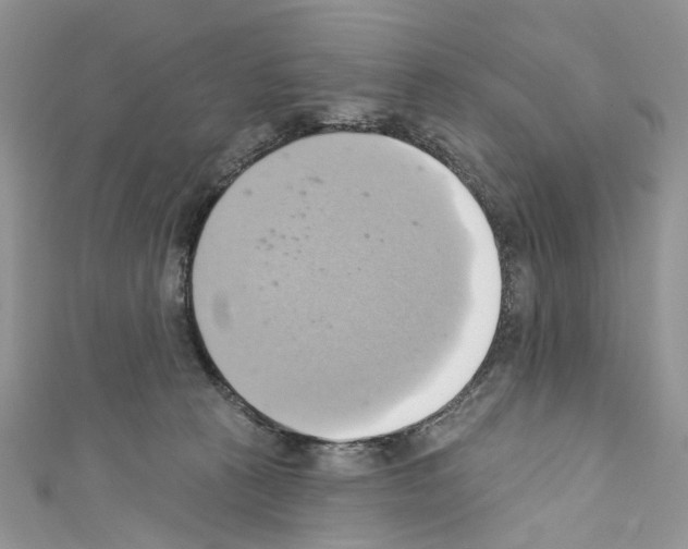 X0000110680273200907241049