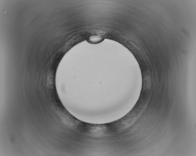 X0000110680274200907241049