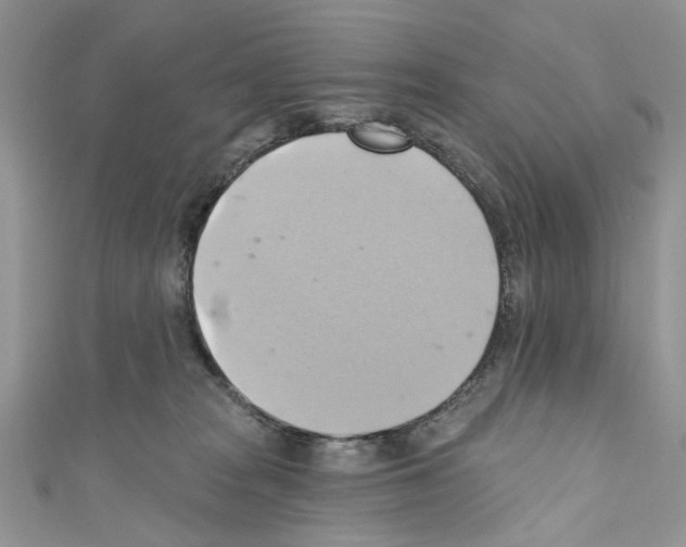 X0000110680277200907241049