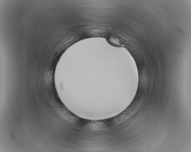 X0000110680278200907241049