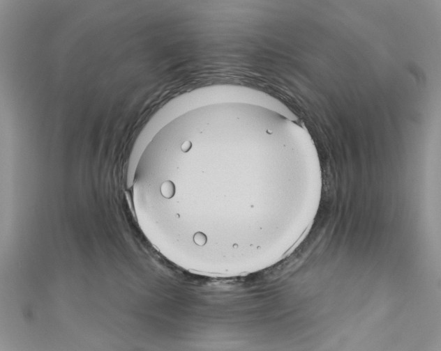 X0000110680280200907241049