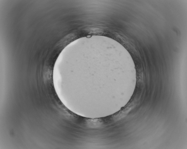 X0000110680281200907241049