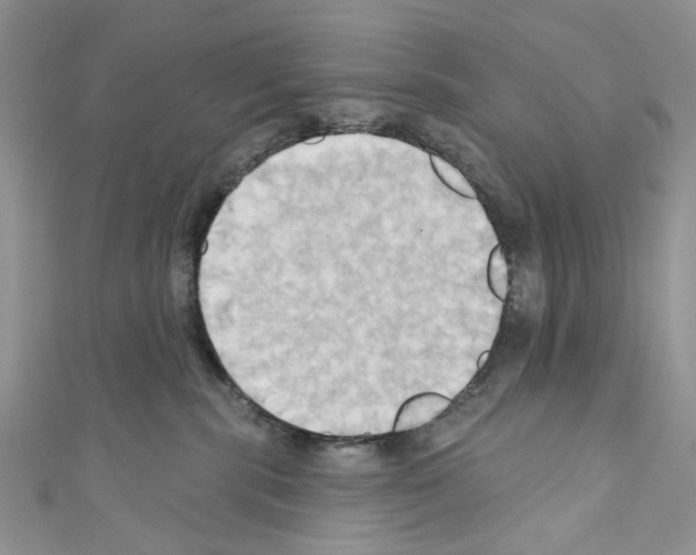 X0000110680283200907241049