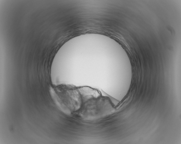 X0000110680285200907241049