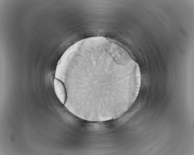 X0000110680286200907241049